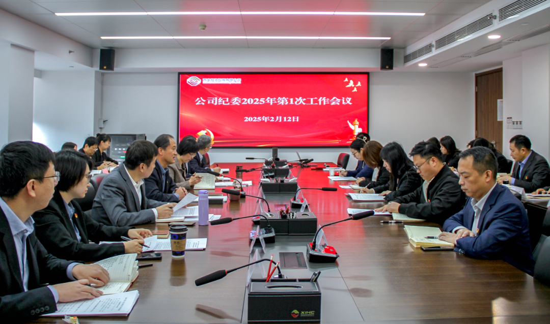 西投控股召開(kāi)公司紀(jì)委2025年工作會(huì)